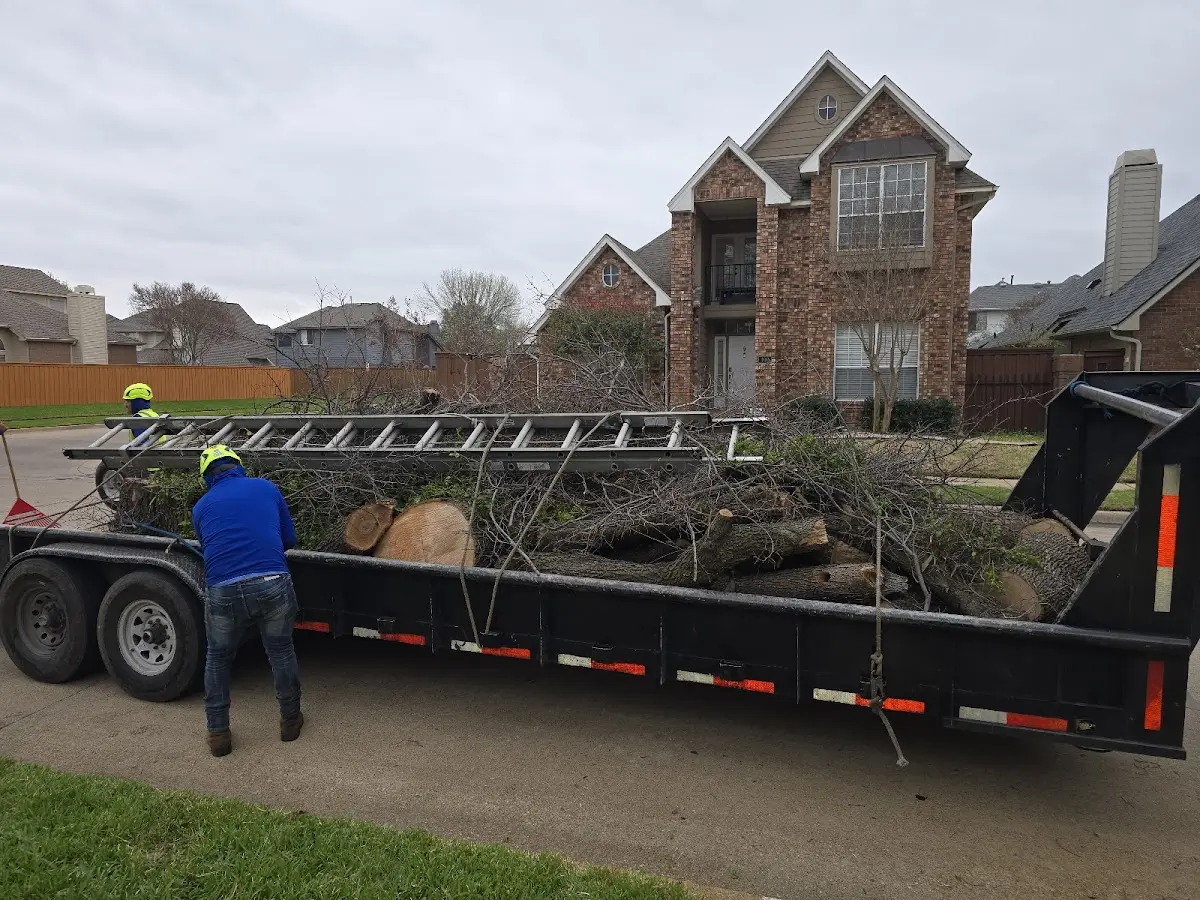 Expert Lot Clearing with proper safety equipment in Hamlin